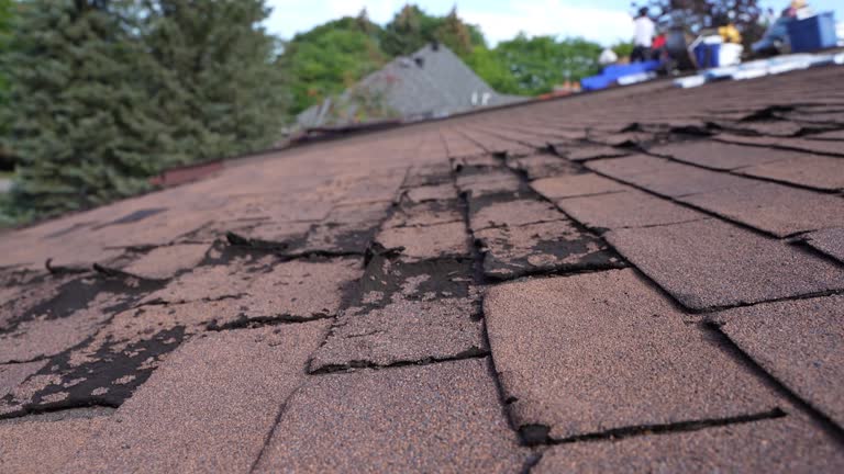 Best Solar Panel Roofing Installation  in Loma Ri, CA