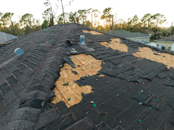 Best Skylight Installation and Repair  in Loma Ri, CA