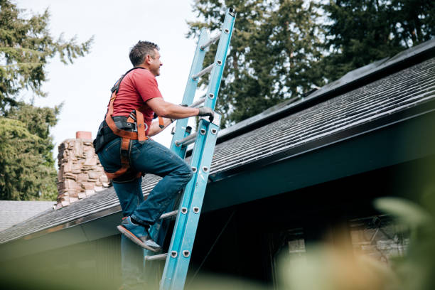 Best Roof Coating and Sealing  in Loma Ri, CA