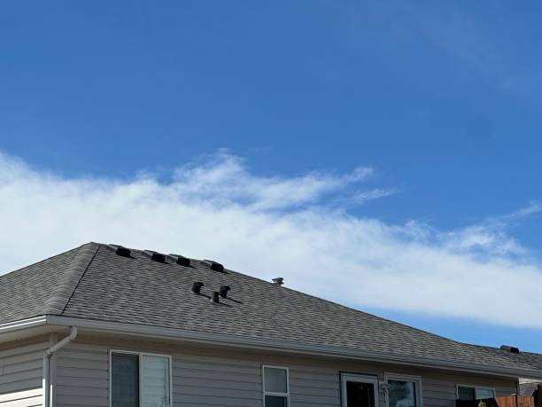 Best Roof Ventilation Installation  in Loma Ri, CA